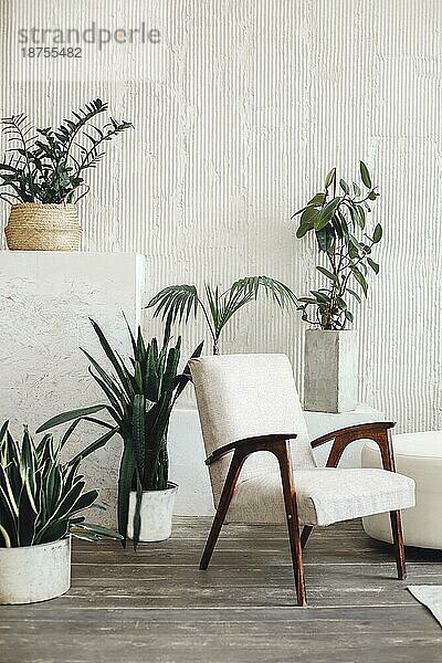 Modernes  helles Wohnzimmer mit gemütlichen Möbeln  dekoriert mit Topfpflanzen