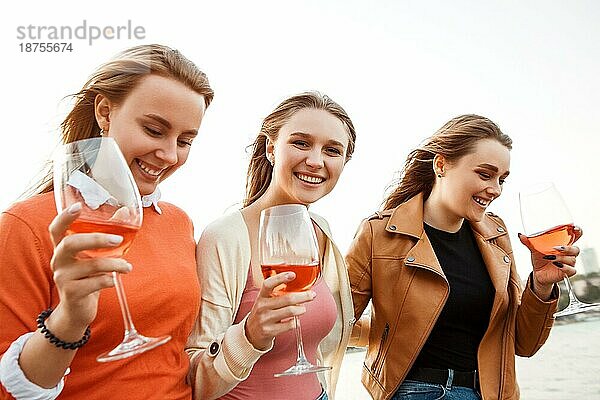 Fröhliche junge Freundinnen  die Wein trinken und Bruschetta essen  während sie an einem Sommerwochenende im Park picknicken