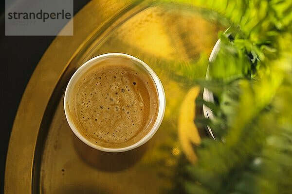 Blick von oben auf eine Kaffeetasse auf einem Kaffeetisch mit grüner Topfpflanze  selektiver Fokus. Aromatisch duftender  frisch gebrühter Cappuccino oder Milchkaffee mit Schaum  serviert in einem Coffeeshop