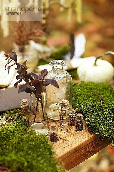 Soft Fokus der Zusammensetzung der kleinen Glasflaschen und verschiedene Pflanzen auf Holztisch platziert
