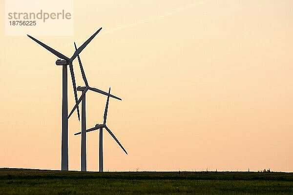 Alternative Energie mit Windkraft  drei Windradsilhouetten im Sonnenuntergang