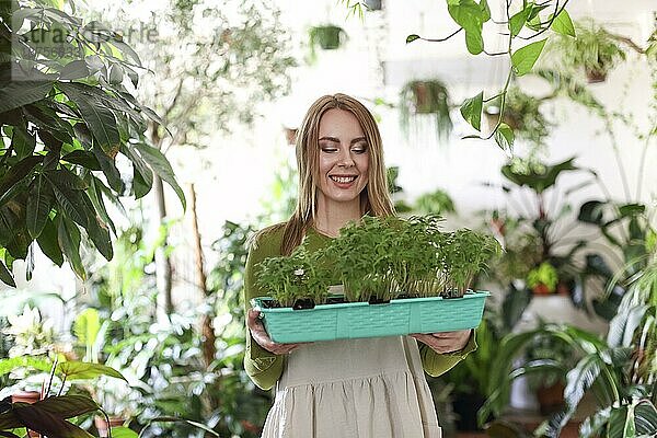 Fröhliche Frau in Schürze trägt ein Tablett mit Töpfen mit grünen Tomatenpflanzen im Garten und schaut in die Kamera