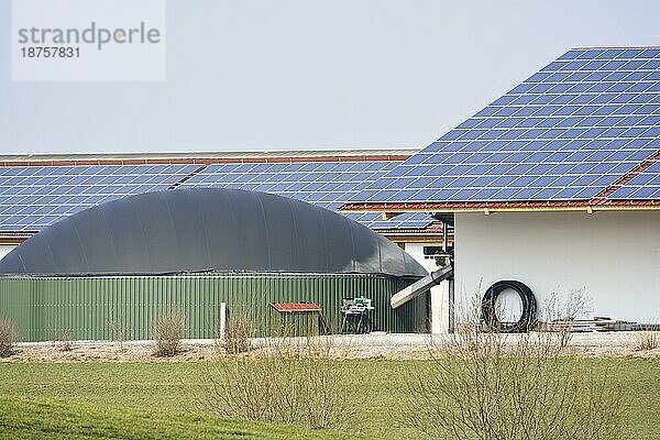 Erneuerbare Energie mit Photovoltaik und einer Biogasanlage