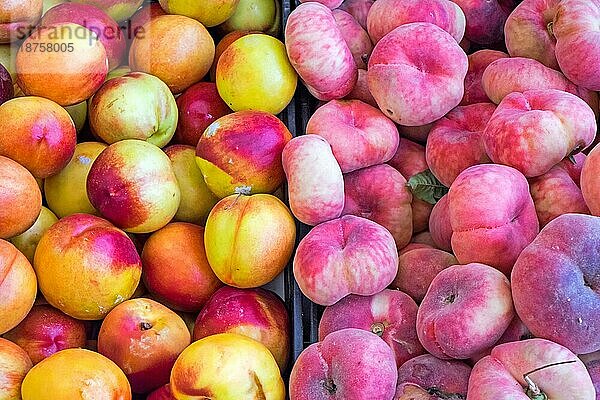Verschiedene Pfirsichsorten auf einem Markt