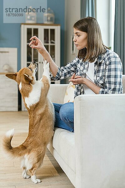 Frau auf der Couch gibt ihrem Hund Leckerli