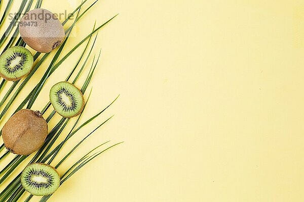 Frische Grünpflanzenblätter Kiwi