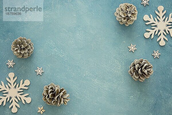 Draufsicht Nadelbaum Tannenzapfen und Schneeflocken. Auflösung und hohe Qualität schönes Foto