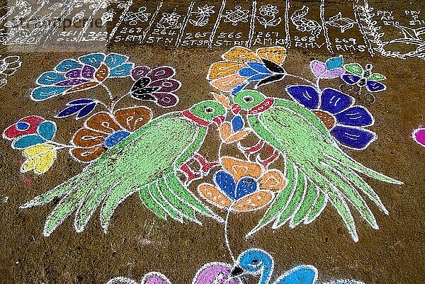 Kolam Rangoli während des Pongal-Festes in Tamil Nadu  Südindien  Indien  Asien