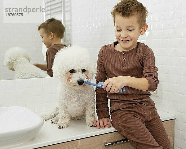 Junge hilft seinem Hund beim Zähneputzen zu Hause