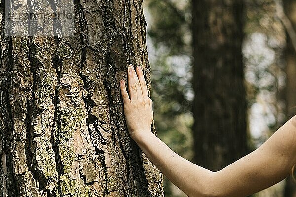Frau berührt Baum mit Hand