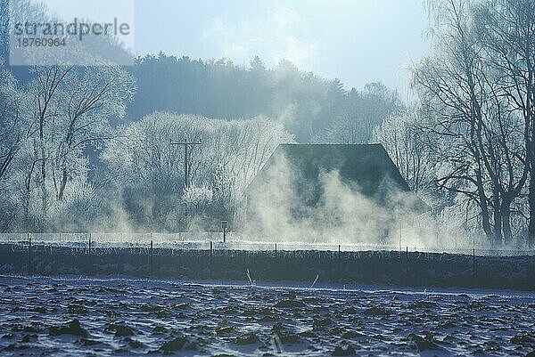 Nebliger Wintermorgen mit einem alten Haus