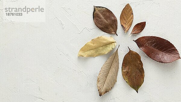 Draufsicht trockene Herbstblätter mit Kopierraum. Auflösung und hohe Qualität schönes Foto