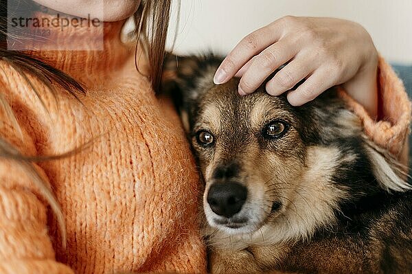 Frau streichelt liebenswerten Hund. Foto mit hoher Auflösung