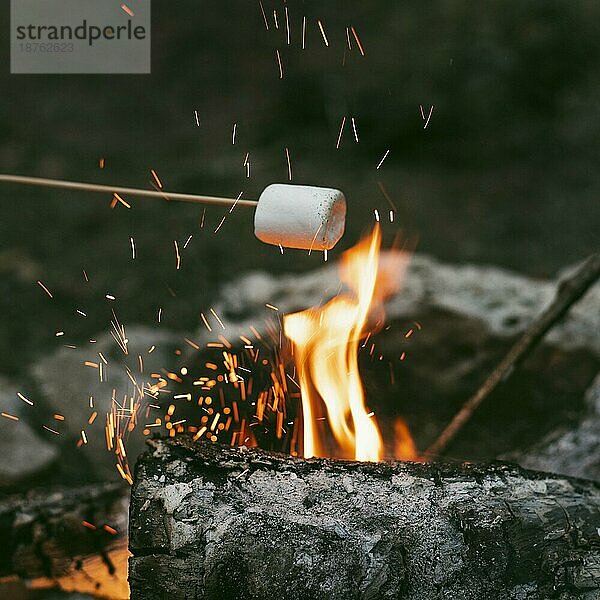 Person brennt Marshmallows Lagerfeuer 2. Auflösung und hohe Qualität schönes Foto