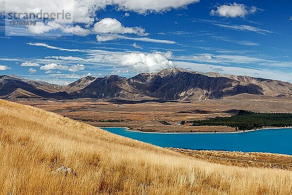 Blick auf die Landschaft rund um den Lake Tekapo