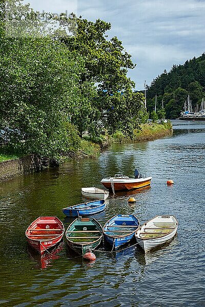 Überschwemmte Ruderboote auf dem Fluss Dart bei Totnes am 29. Juli 2012  TOTNES  DEVON  Großbritannien  Europa