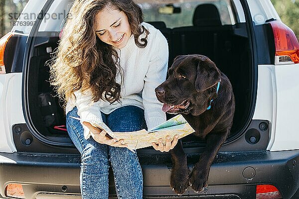 Großer schwarzer Hund Auto