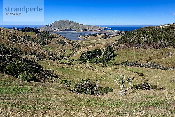 Blick auf die Landschaft der Otago-Halbinsel