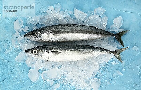 Draufsicht Paar Fisch mit Eis. Foto mit hoher Auflösung