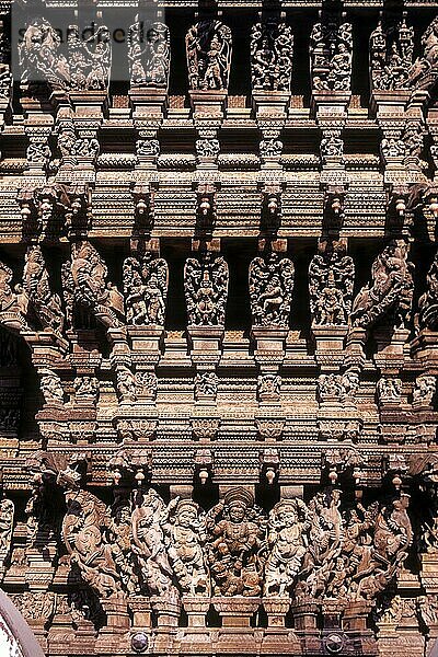 Holzschnitzereien aus dem 17. Jahrhundert im Meenakshi-Sundareswarar-Tempel Chariot in Madurai  Tamil Nadu  Südindien  Indien  Asien