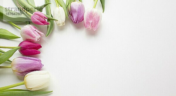 Draufsicht Tulpen Blumen mit Kopierraum. Foto mit hoher Auflösung