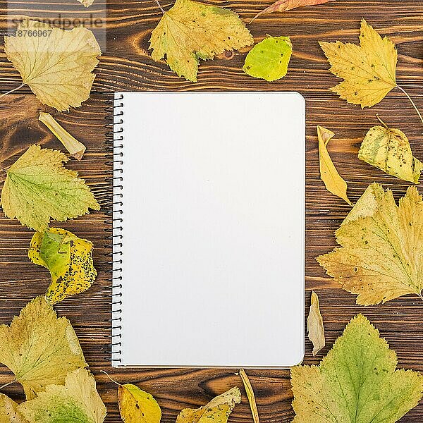 Draufsicht Notebook umgeben von Herbstlaub