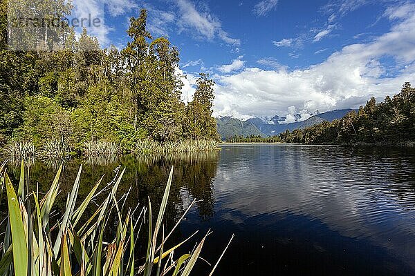 Aussicht auf den Lake Matheson in Neuseeland im Sommer