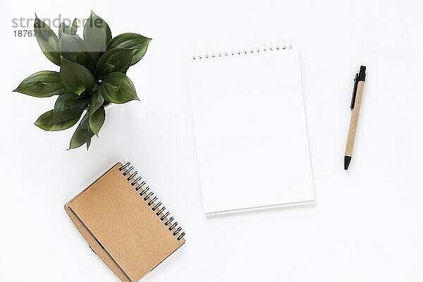 Hohe Winkel Ansicht Spirale Notizblock Tagebuch Topfpflanze Stift weißem Hintergrund