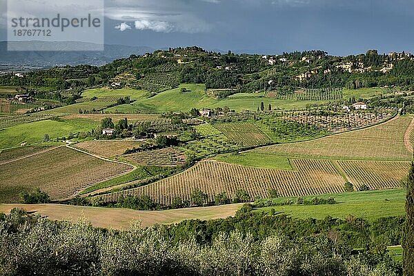 Blick auf die Landschaft bei Montepulciano unter stürmischen Bedingungen