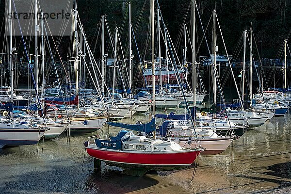 Blick auf den Hafen von Ilfracombe