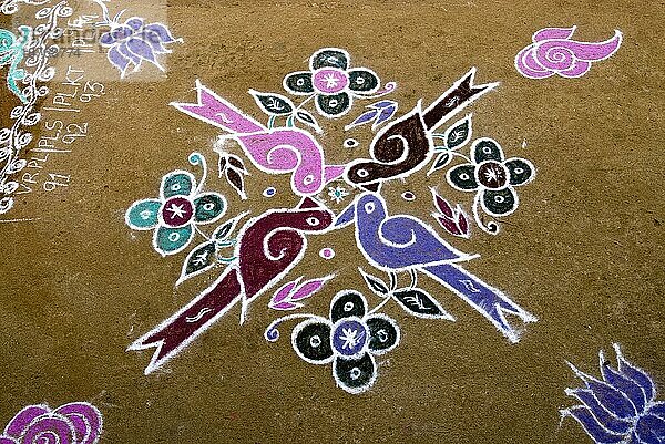 Kolam Rangoli während des Pongal-Festes in Tamil Nadu  Südindien  Indien  Asien