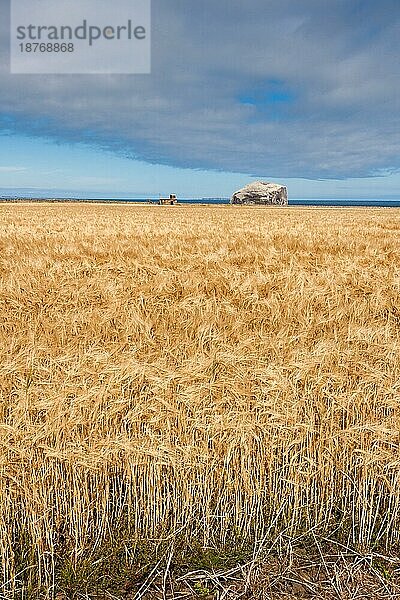 Blick auf den Bass Rock im Firth of Forth