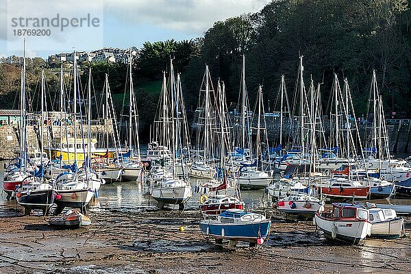 Blick auf den Hafen von Ilfracombe am 19. Oktober 2013  ILFRACOMBE  DEVON  Großbritannien  Europa