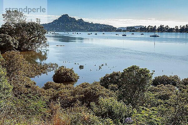 Blick auf die Tairua-Bucht in Neuseeland