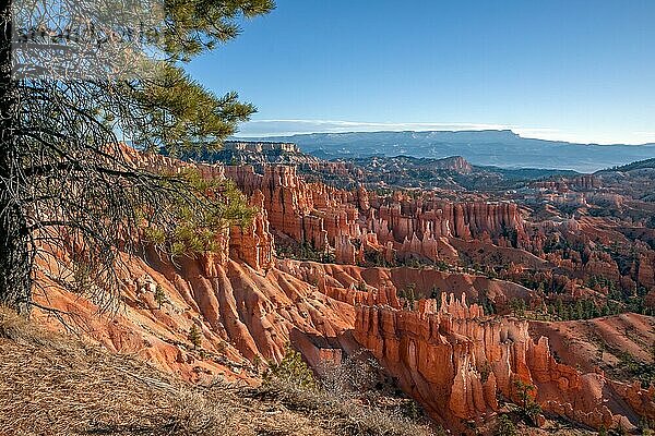 Aussicht auf den Bryce Canyon im Süden Utahs USA