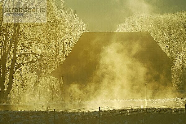 Nebliger Wintermorgen mit einem alten Haus