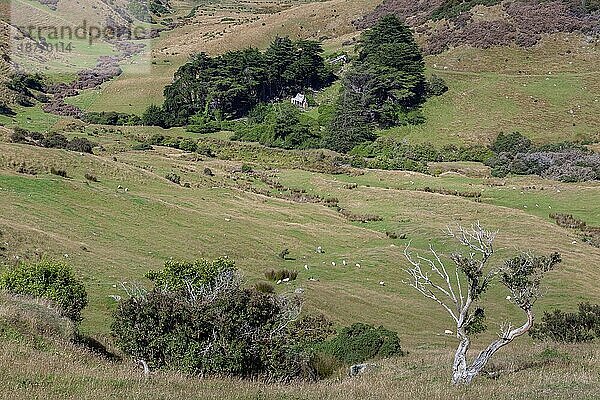 Blick auf die Landschaft der Otago-Halbinsel