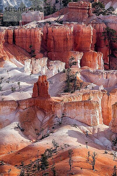 Panoramablick auf den Bryce Canyon im Süden Utahs USA
