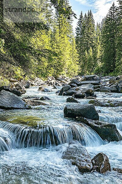 Blick auf den Fluss oder Wildbach im Naturpark Paneveggio Pale di San Martino in Tonadico  Trentino  Italien  Europa