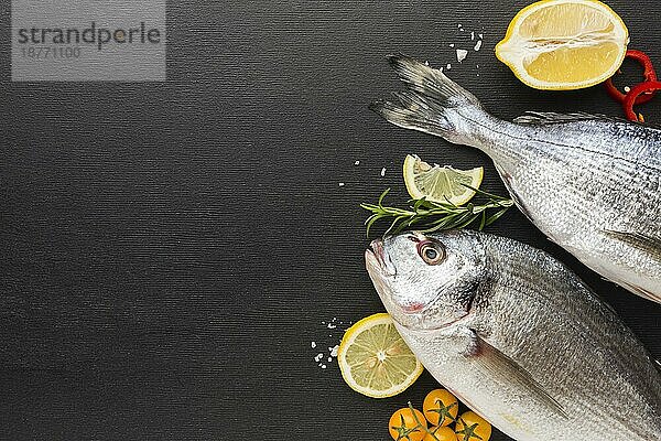 Fischrahmen in der Draufsicht mit Kopierbereich. Auflösung und hohe Qualität schönes Foto