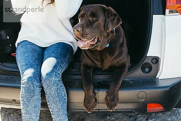 Frau sitzend mit ihrem Hund offenen Kofferraum