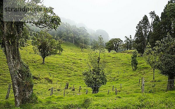 Wunderschöne costa-ricanische Landschaft mit sattgrünen Hügeln