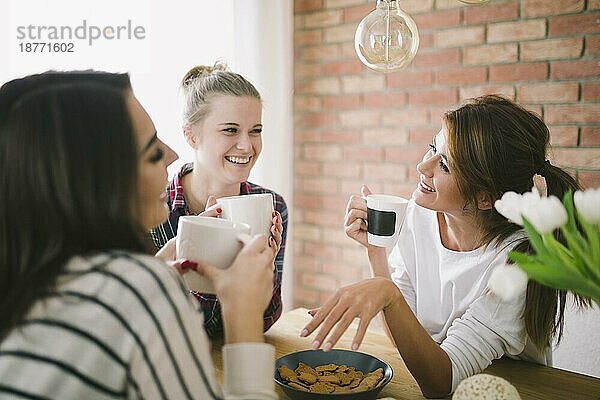 Lachende Mädchen  die Tee trinken und sich unterhalten