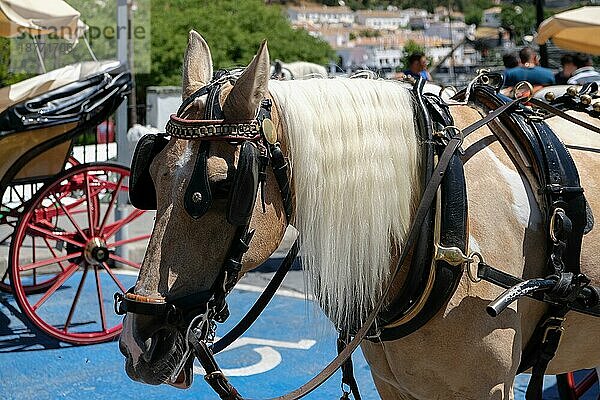 MIJAS  ANDALUCIA/SPANIEN - 3. JULI: Pferd und Kutsche in Mijas Andalucía Spanien am 3. Juli 2017. Nicht identifizierte Personen