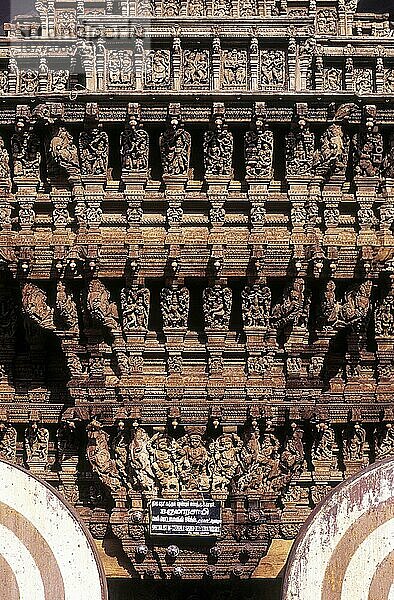 Holzschnitzereien aus dem 17. Jahrhundert im Meenakshi-Sundareswarar-Tempel Chariot in Madurai  Tamil Nadu  Südindien  Indien  Asien