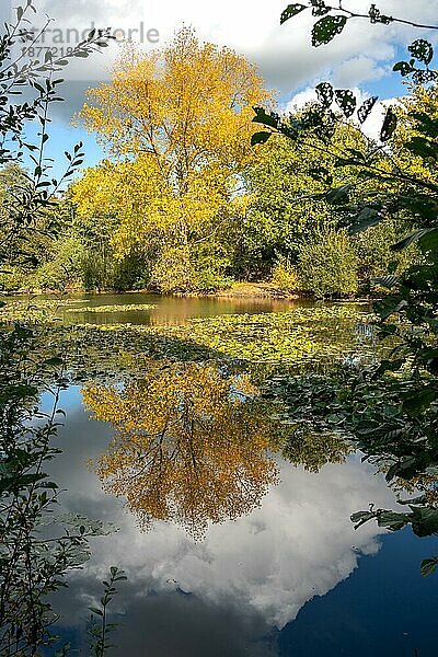 Überlegungen zu einem sonnigen Herbsttag an einem See in Surrey