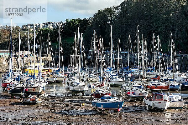 ILFRACOMBE  DEVON/UK - 19. OKTOBER : Blick auf den Hafen von Ilfracombe am 19. Oktober 2013