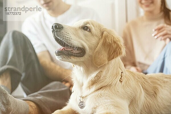 Close up Paar mit Hund im Haus. Auflösung und hohe Qualität schönes Foto