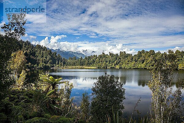 Landschaftlicher Blick auf den Mapourika-See in Neuseeland