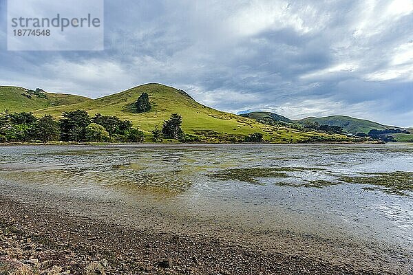 Die Otago-Halbinsel bei Dunedin in Neuseeland